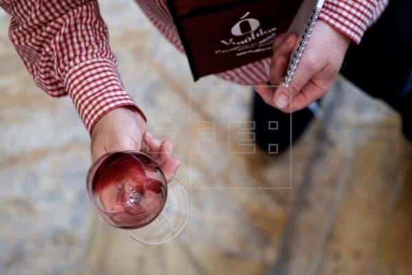 En este momento estás viendo Diez vinos de Gran Canaria, clasificados como “excelentes” y “muy buenos” en la Guía Peñín 2022