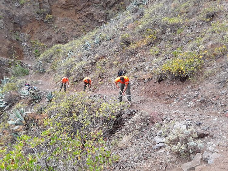 Lee más sobre el artículo El Cabildo de Tenerife destina 408.122 euros más al encargo de mantenimiento del Parque Rural de Anaga