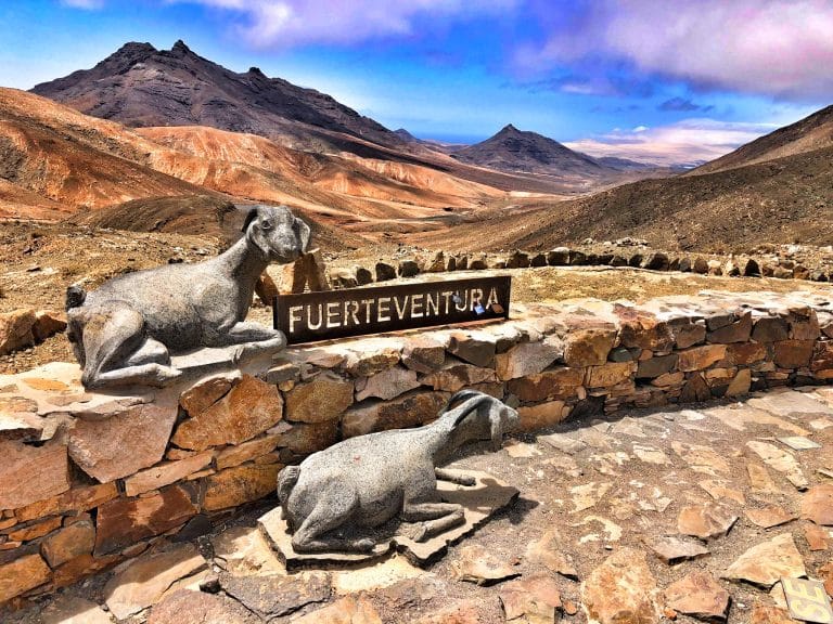 Lee más sobre el artículo Fuerteventura prepara el I Festival Internacional de Ecoexperiencias