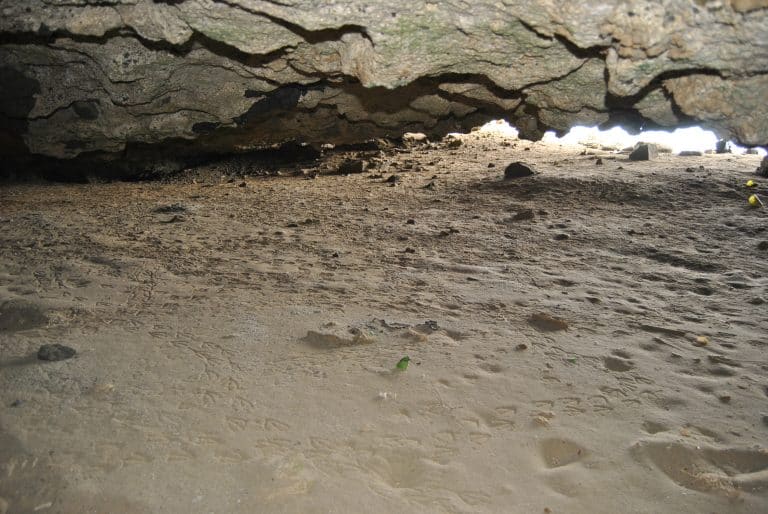 Lee más sobre el artículo El Cabildo de Fuerteventura inicia sondeos para esclarecer la importancia de una cueva de Betancuria con evidencias de material histórico