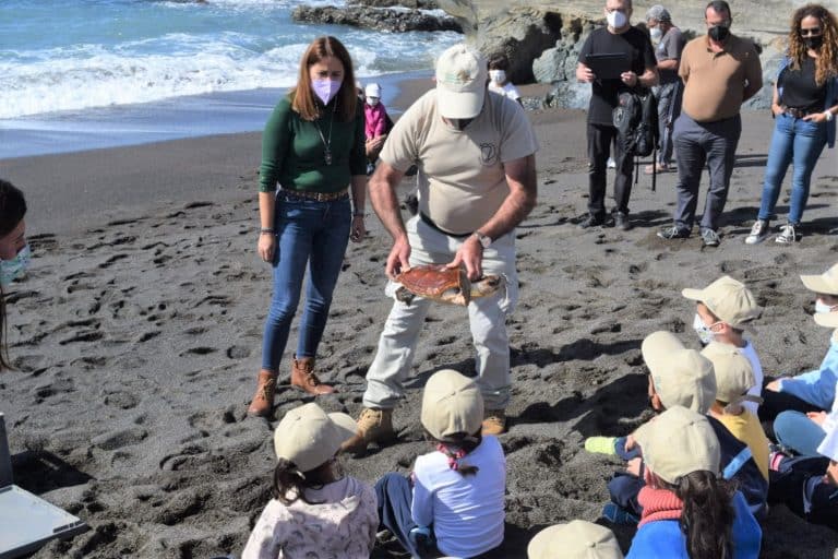 El Cabildo de Fuerteventura libera tres ejemplares recuperados de tortuga en Ajuy con motivo del Día Mundial de la Educación Ambiental
