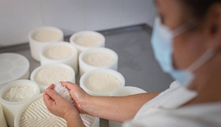 Lee más sobre el artículo El Cabildo de Fuerteventura reactiva el laboratorio lácteo para realizar controles microbiológicos del queso majorero