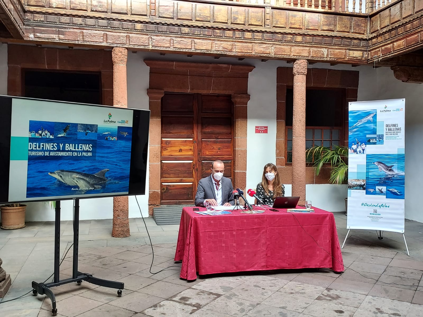 En este momento estás viendo El Cabildo de La Palma presenta la primera guía de avistamiento de cetáceos