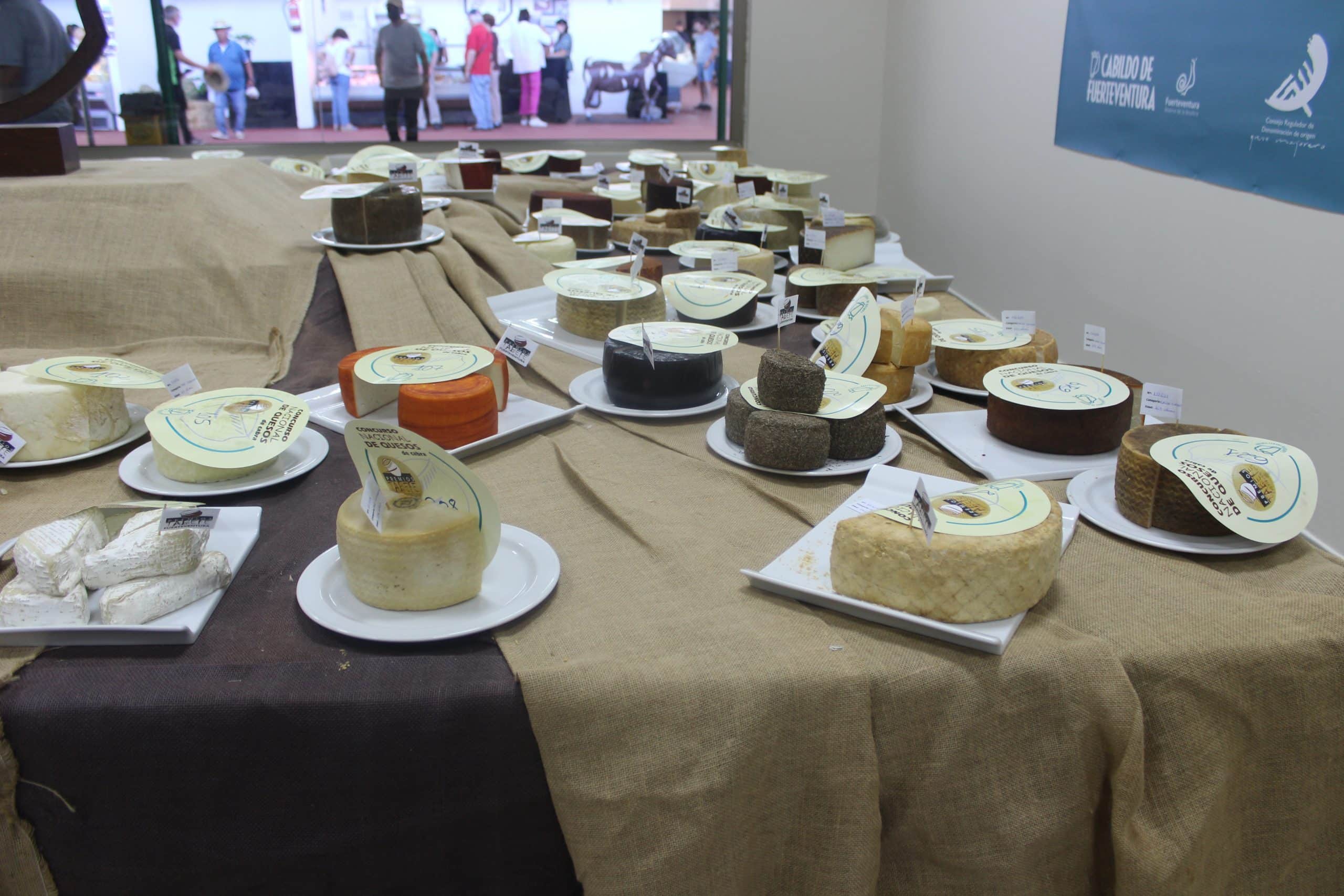 En este momento estás viendo Seis quesos de Fuerteventura son premiados en el Concurso Nacional-Premios Tabefe