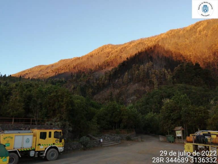 Lee más sobre el artículo El Cabildo de Tenerife declara controlado el incendio forestal de Los Realejos