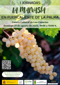 Las ‘I Jornadas La Malvasía en Fuencaliente de La Palma’ marcarán el camino a seguir ante los retos de esta singular variedad