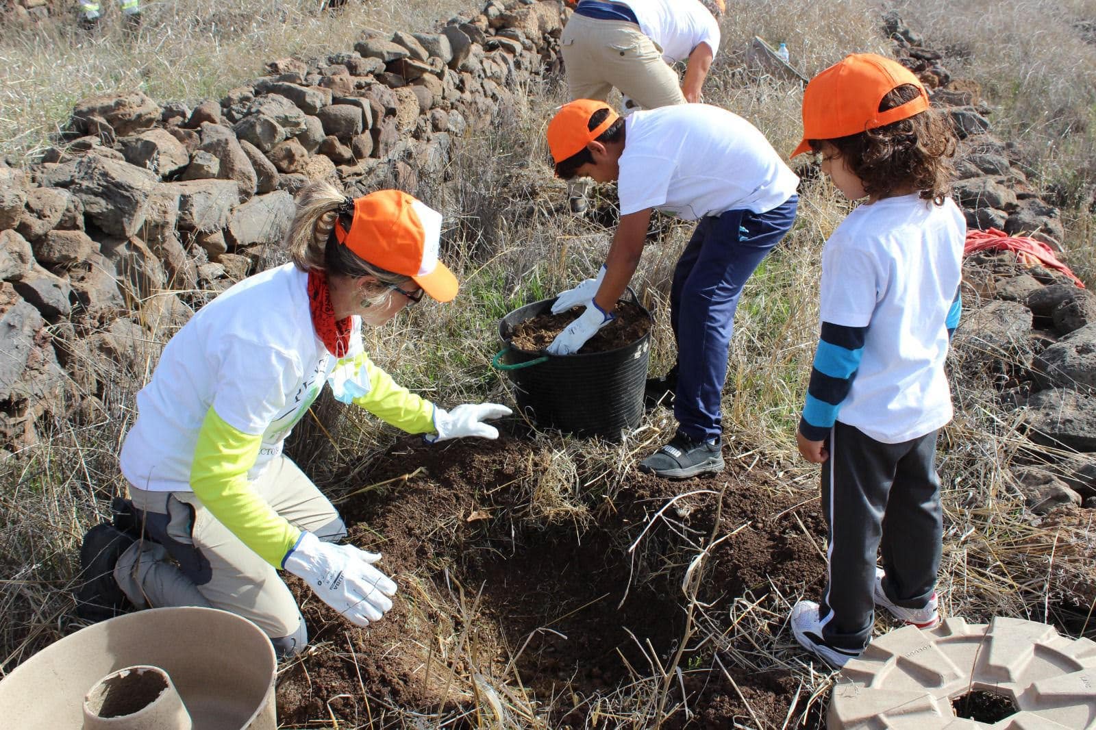 <strong>La Gomera celebra el Día del Árbol este sábado con una jornada de plantación</strong>