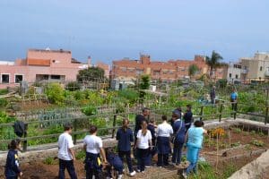 Lee más sobre el artículo Nueva adjudicación de huertos ecológicos urbanos en el Parque Cultural y Medioambiental Doña Chana