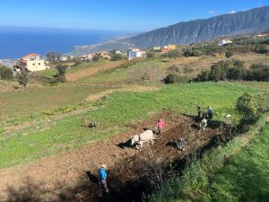 Lee más sobre el artículo La Villa de La Orotava acoge una charla sobre los murciélagos y sus beneficios en los agrosistemas de Tenerife
