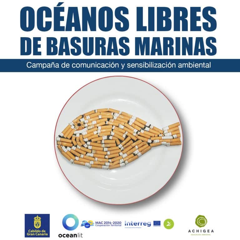 Lee más sobre el artículo Gran Canaria suma esfuerzos para atajar el problema de las basuras marinas en los archipiélagos oceánicos