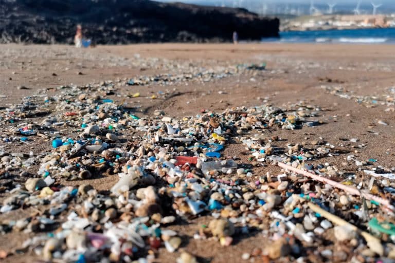 Lee más sobre el artículo La ULL y Azores muestran que los microplásticos de las playas de la macaronesia se acumulan en profundidad